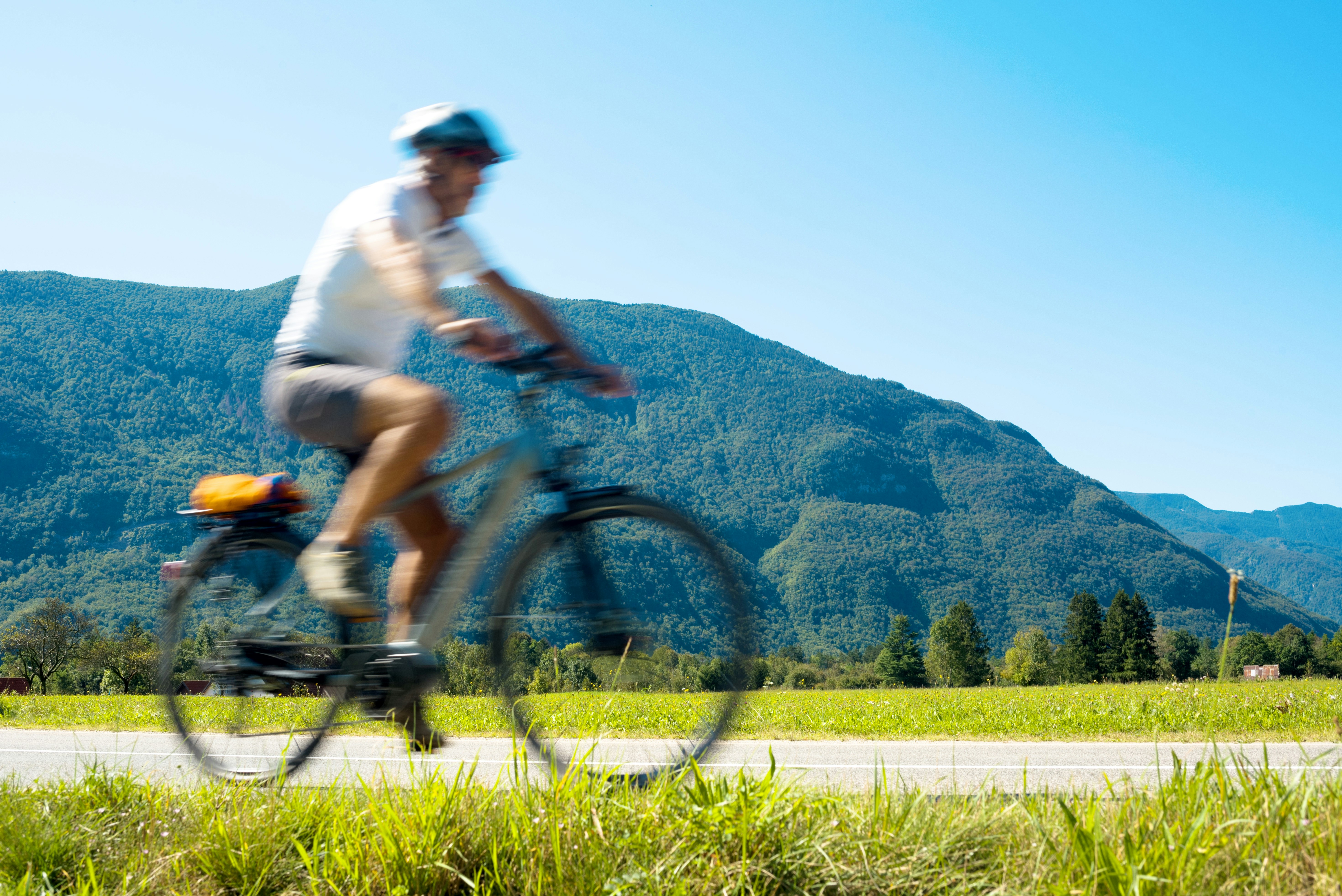 Mountain biker riding through scenic forest trail at Glen Eden
